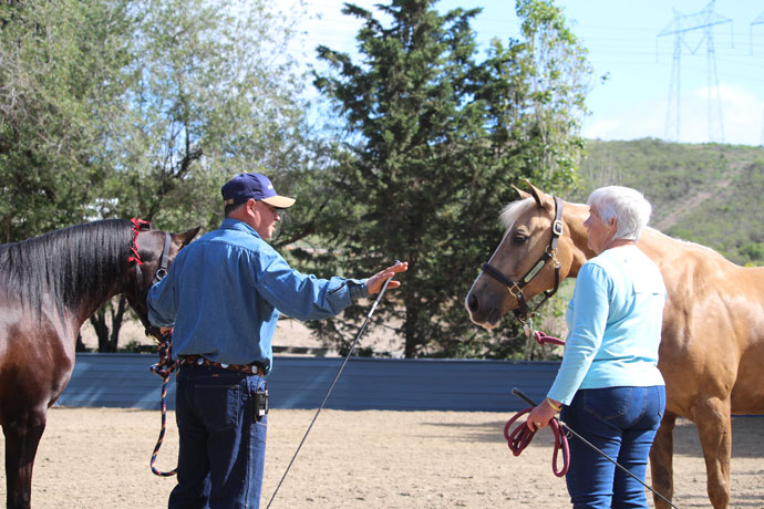 Varian Arabians Hands On Clinic - Mike Perez Coaching a Participant