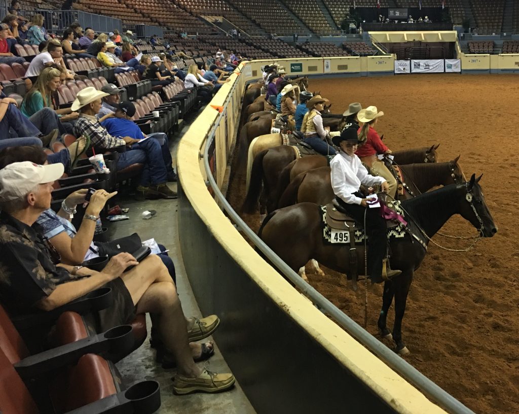 Local Teen Takes on the AQHA Youth World Championships | SLO Horse News