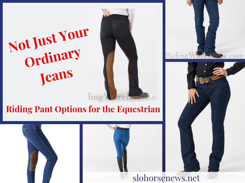 most comfortable jeans for riding horses