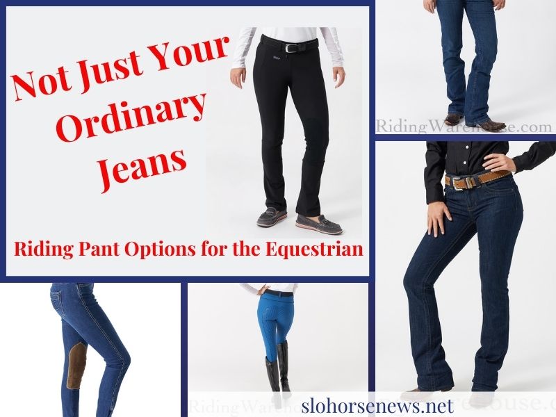 Horse Riding Tights - Equestrian leggings with stylish Jean Equ