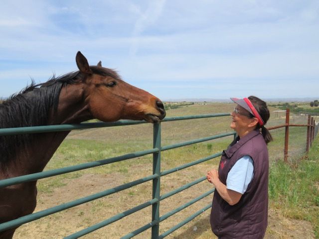 Share the Love for Redwings Horse Sanctuary • Paso Robles Press